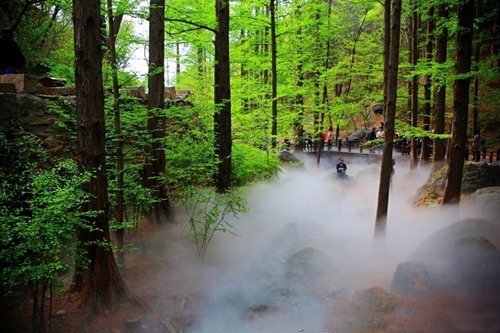 树林人造雾