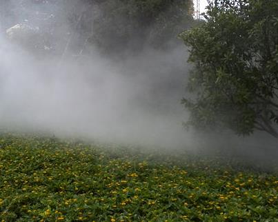 人造雾在营造美景的同时也提升空气质量